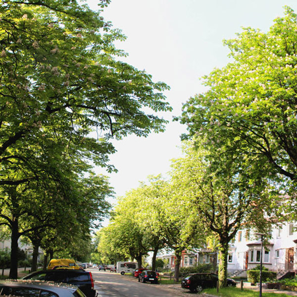 Exklusive Eigentumwohnungen in Köln im Stadtteil Köln Lövenich - Zülpich / Netten und Beuth Bauprojekte Frechen