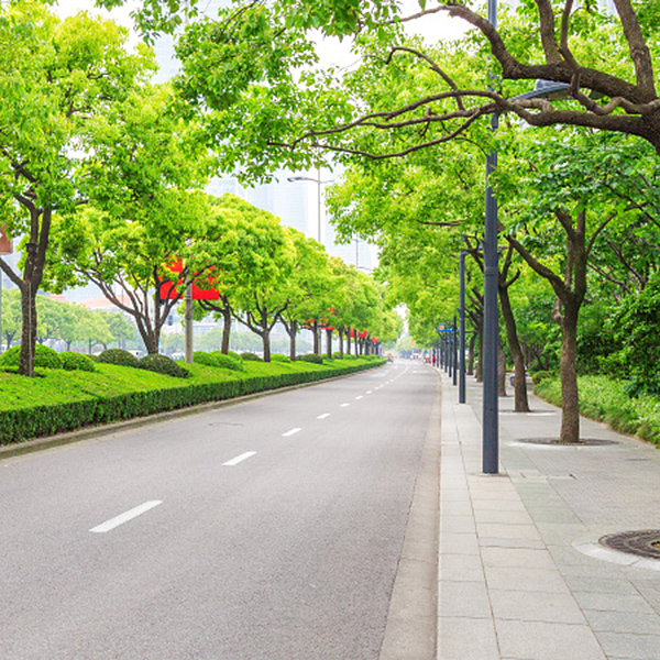 Ihre Immobilie im grünen Herzen von Köln